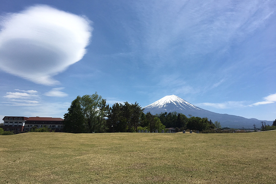 八木崎公園